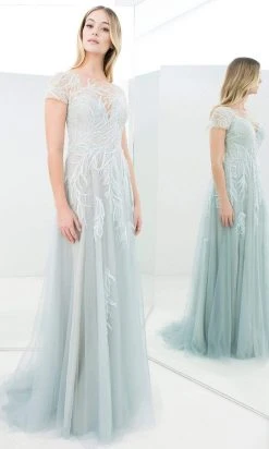 Alexander By Daymor - 1372 Beaded Illusion Bateau A-Line Dress 11 Alexander By Daymor - 1372 Beaded Illusion Bateau A-Line Dress