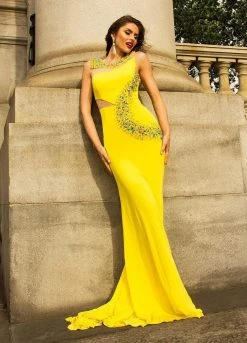 Ashley Lauren - 1101 Jersey Evening Dress With Cut Outs