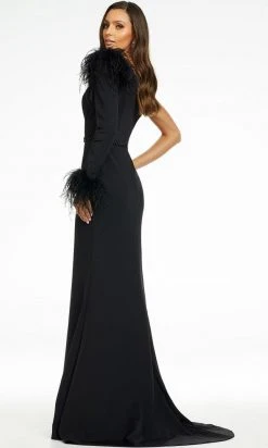 Ashley Lauren - 11131 Feather Detail Long Sleeve Gown