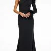 Ashley Lauren - 11131 Feather Detail Long Sleeve Gown
