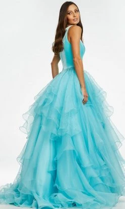 Ashley Lauren - 11165 Jeweled Organza Ballgown
