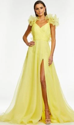 Ashley Lauren - 11166 Ruffled V-Neck A-Line Gown 17 Ashley Lauren - 11166 Ruffled V-Neck A-Line Gown