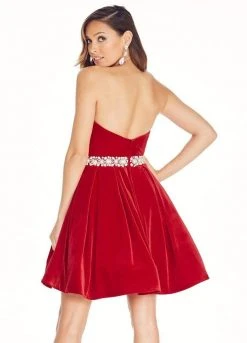Ashley Lauren - 4063 Velvet A-Line Cocktail Dress