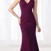 Cameron Blake By Mon Cheri Cameron Blake - Seamed V-Neck Jersey Trumpet Evening Dress 218625 - 2 Pcs Grape In Sizes 14 And 18 And 1 Pc Black In Size 18 Available