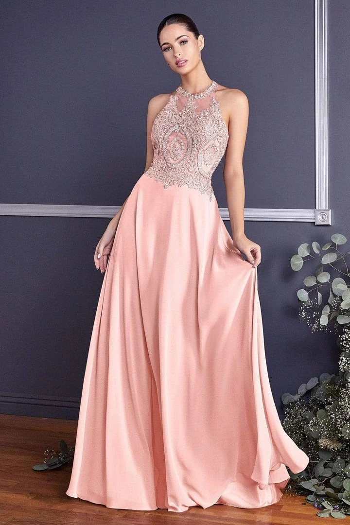 Cinderella Divine - Illusion Jewel Tonal Appliqued Long Evening Gown 3 Cinderella Divine - Illusion Jewel Tonal Appliqued Long Evening Gown
