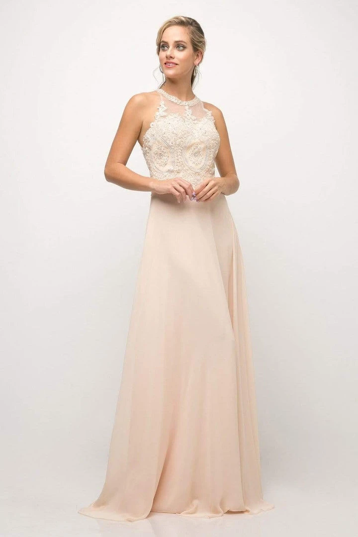 Cinderella Divine - Illusion Jewel Tonal Appliqued Long Evening Gown 6 Cinderella Divine - Illusion Jewel Tonal Appliqued Long Evening Gown