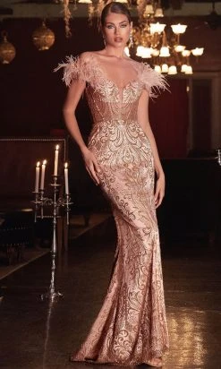Cinderella Divine J824 - Feathered Trumpet Gown