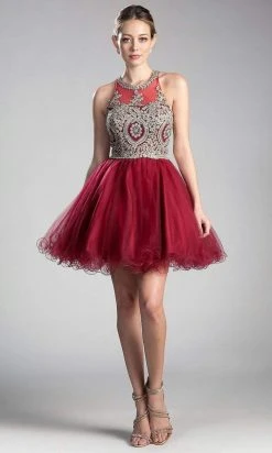 Cinderella Divine - Lace Appliqued Strappy Back Cocktail Dress