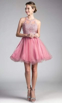 Cinderella Divine - Lace Appliqued Strappy Back Cocktail Dress