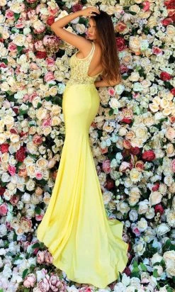 Clarisse - 810140 Sheer Bod Fitted Long Gown