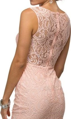Dancing Queen - 9099 Sheer Lace Appliqued Sheath Homecoming Dress 14 Dancing Queen - 9099 Sheer Lace Appliqued Sheath Homecoming Dress