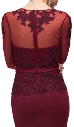 Dancing Queen - 9573 Sheer Sleeves Majestic Lacy Bodice Long Formal Dress