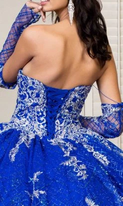 Elizabeth K - GL1943 Embroidered Sweetheart Mesh Ballgown