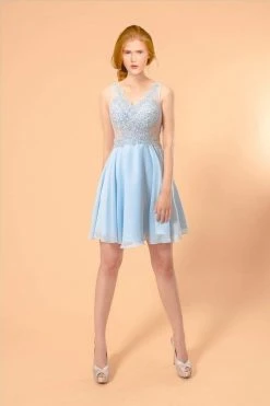 Elizabeth K - GS1613 Embroidered V-neck Chiffon A-line Dress