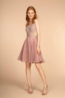 Elizabeth K - GS1619 Sleeveless Embroidered Vneck Chiffon A-line Dress