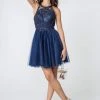 Elizabeth K - GS2809 Embroidered Illusion Jewel Cocktail Dress