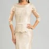 Feriani Couture - 18557 Lace Bateau Sheath Dress