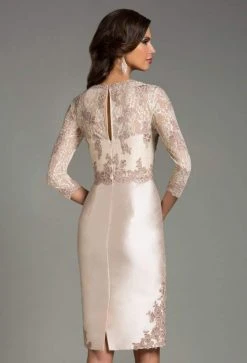 Feriani Couture - Quarter Sleeve Illusion Lace Appliqued Dress 18503 - 1 Pc Silver In Size 10 Available