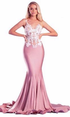 Portia And Scarlett - PS21175 Illusion Appliqued Bodice Mermaid Gown
