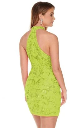 Rachel Allan - 40022 High Choker Neck Beaded Tulle Cocktail Dress