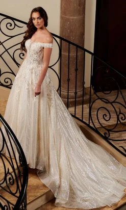 Rachel Allan - M782 Off Shoulder Shimmer A-Line Wedding Dress