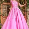 Sherri Hill - 53356 High Neckline Floral Applique A-Line Dress